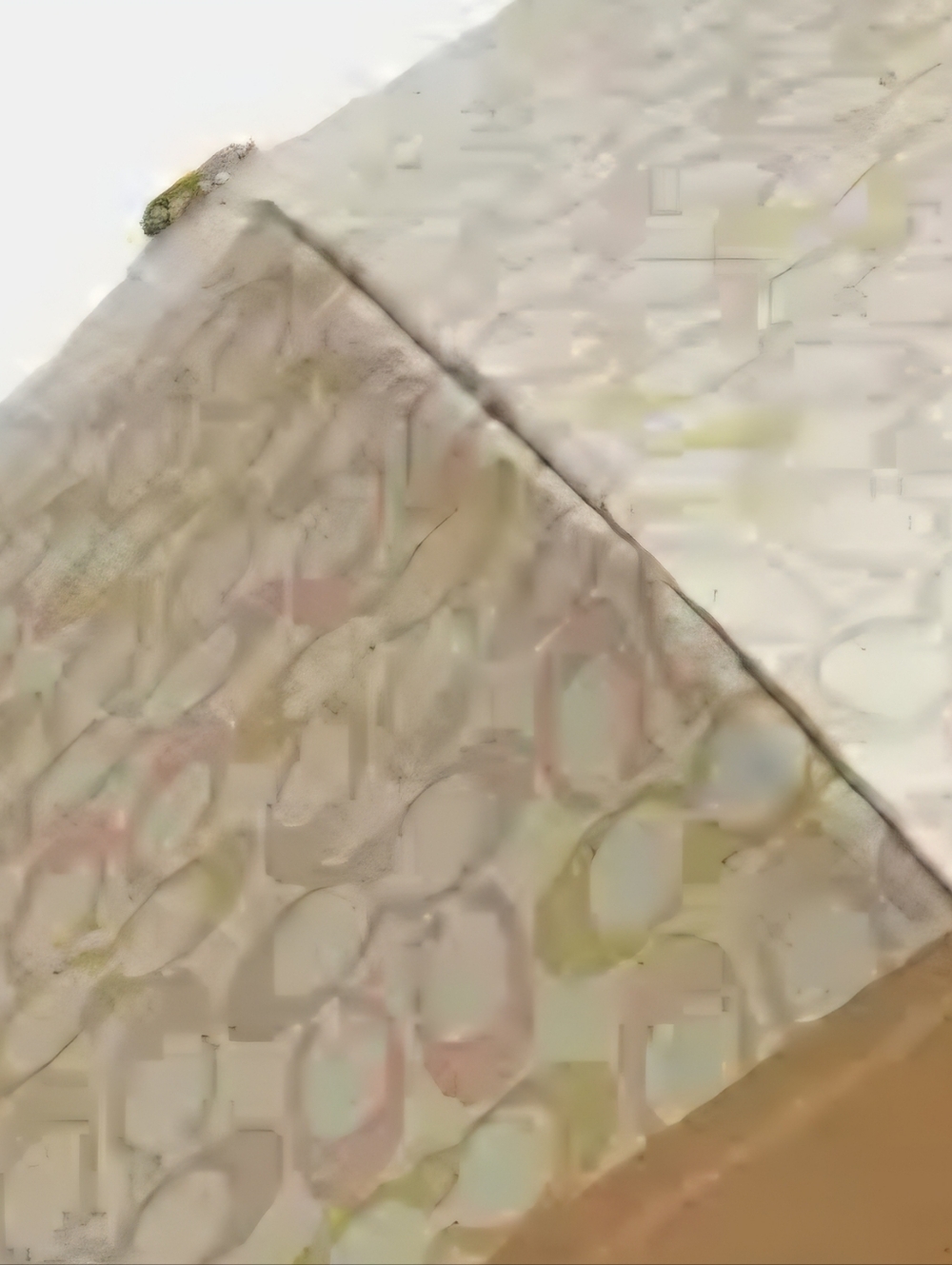 Coach Uv Protection Rain/ Shine Umbrella W/ Subtle Colorful Cs Sig. Print Nwt - Picture 3 of 6